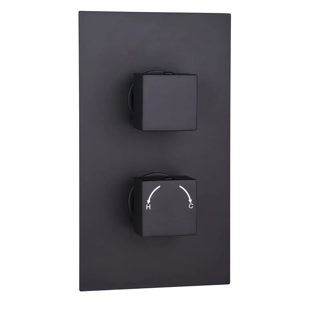 Astini Orca Black Square Concealed Thermostatic 2 Handle 2 Outlet Shower Valve