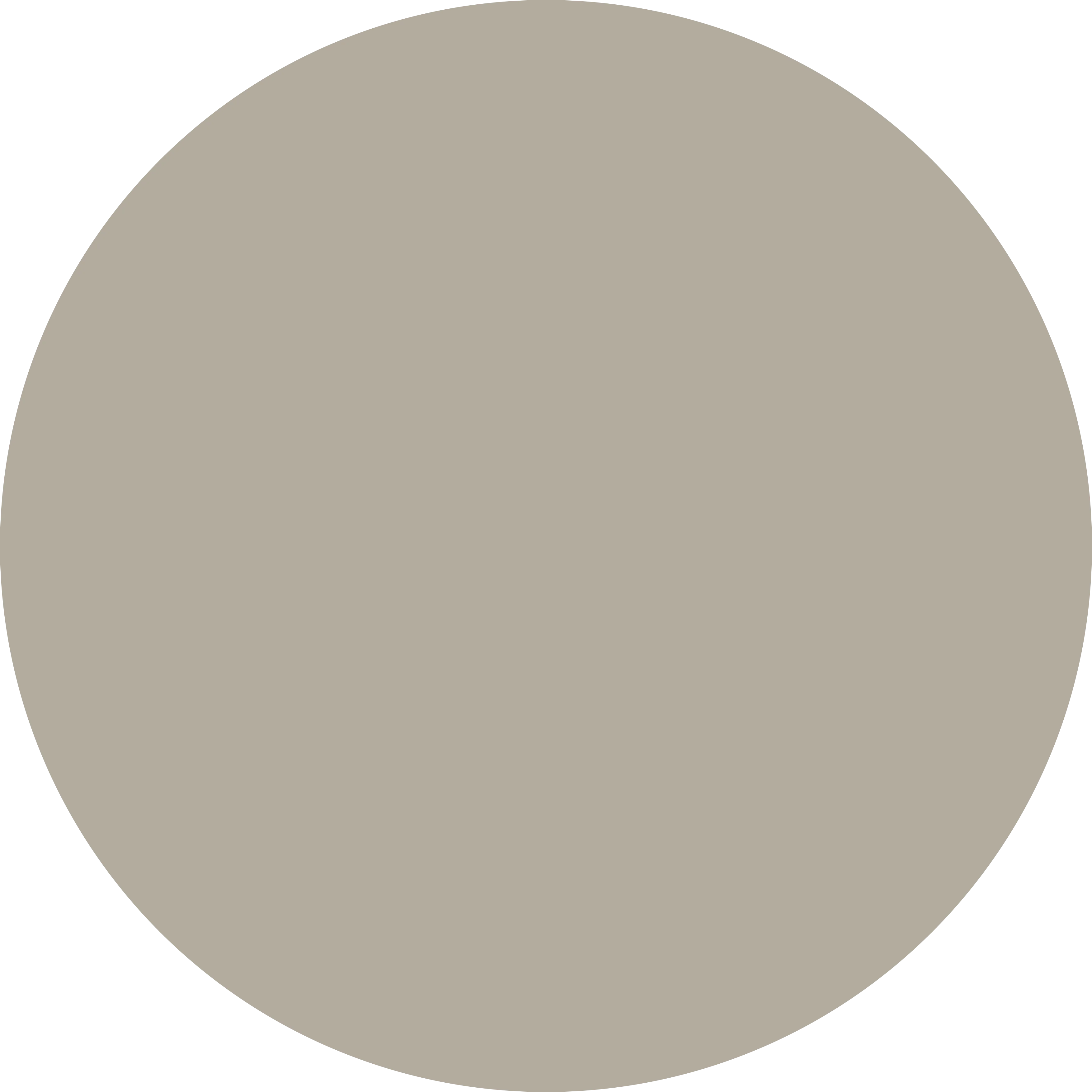 KwikCaps Self Adhesive Screw Cover Caps - Pebble Grey (652) U201 ST9